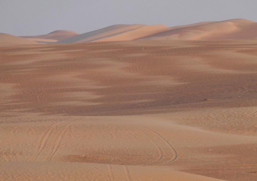 Tracks in sand, Abu Dhabi’s Empty Quarter © by Karen Warren