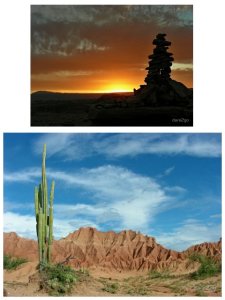 Art Prints & Canvas Prints