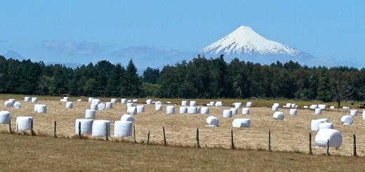 plastic wrapped hay bales, with volcan Osorno in the back