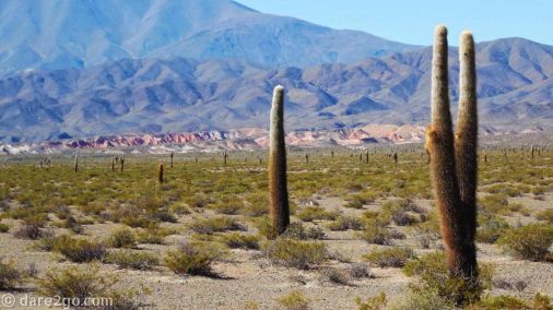 RP33-PN-Los-Cardones-2