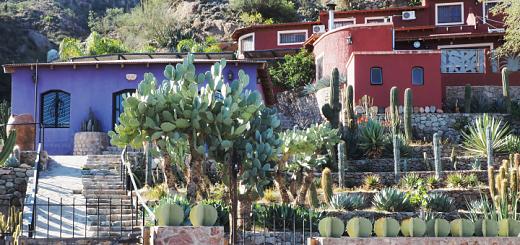 Chilecito: the Jardin Botanico Chirau Mita, a cactus garden