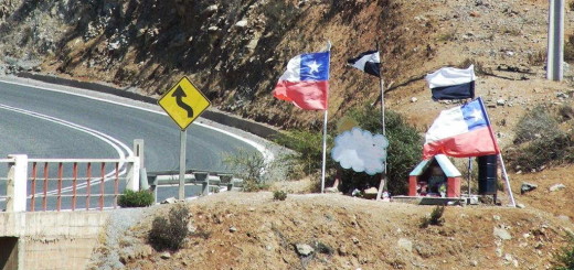 Often roadside shrines are made to stand out with the addition of flags or specially planted trees, like this one near Illapel, Chile.
