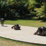 Inhotim Edgard de Souza – bronze sculpture: human bodies, but not complete