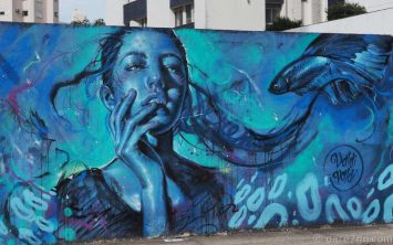 florianopolis-streetart-girlfish