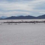 A place in the Salar de Uyuni where tourists tried to stack up salt bricks to form words. All I can clearly read is “Tour de Monde” (French: world tour).
