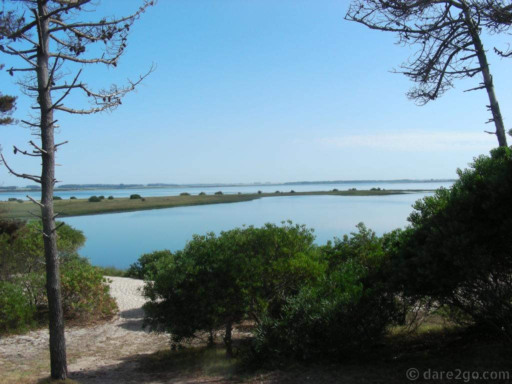 Our best beach side camping in Uruguay: across the road from the beach (which was windy with heavy salt spray) we parked in a hidden spot overlooking a tranquil lagoon.