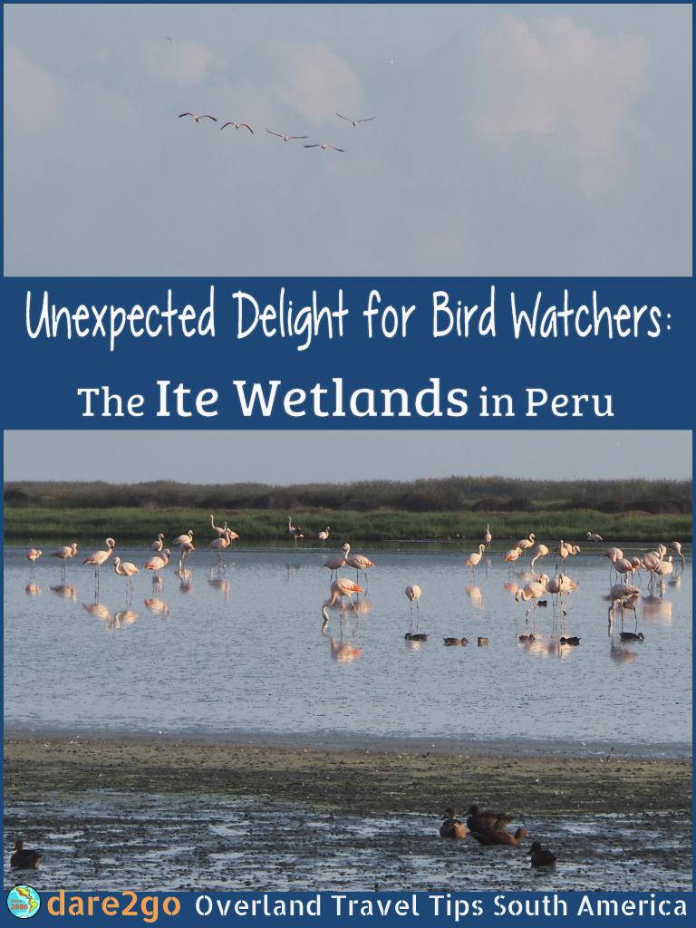 This is an Unexpected Delight for Bird Watchers in Peru: the Ite Coastal Wetlands. There are literally thousands of birds, many of which are endangered. These wetlands are between Ilo and Tacna in the south of Peru, roughly 120 kilometres from the border with Chile.