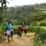 The horses seem to be sure-footed on the slippery path, but we preferred to walk up after visiting the Karajia site.