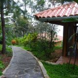 a view of the garden in the little paradise in Lamas