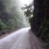 Once we crossed the last mountain range, coming from Huánuco, the road dropped steeply into this real tropical gorge.