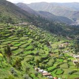 In Peru, the mountains are terraced almost everywhere. They live at high altitudes and grow food on every available piece of ground. What an amazing view.