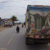 This is not the only white tiger we saw painted onto the rear of a truck.