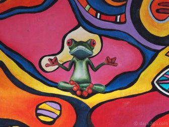 ECU-streetart-Banos-frog-hostal