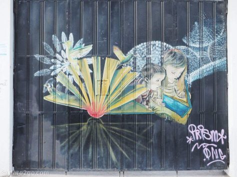 ECU-streetart-Cuenca-garage-door