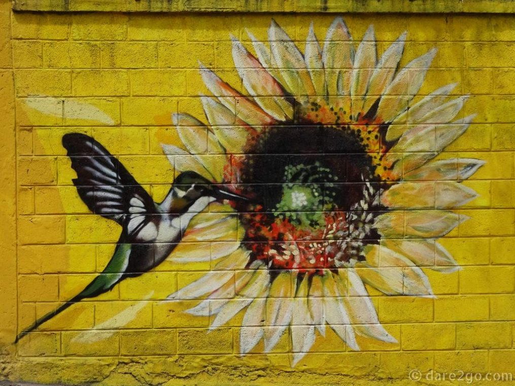 ECU-streetart-Quito-colibri