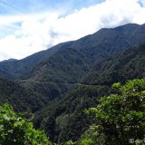 A view back towards Pasto from the last peak along the Trampolín de la Muerte: nothing but lush green forest and the band of the road.