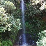 Driving the Trampolín de la Muerte you come past dozens of waterfalls. Not many big and spectacular ones; more often small ones tumbling down next to the road, often hidden behind thick vegetation.