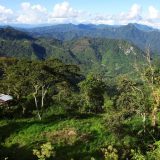 Driving through the Amazon region of Ecuador: green as far as the eye can see.
