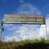At least the authorities begin to restrict logging. This sign warns about a fine of US$500 per illegally felled tree. That's more than Ecuador's minimum monthly wage!