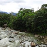 One of the many rivers we had to cross (on bridges) along the Troncal Amazonica.