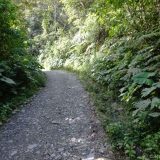 ...and then the road became just a bit narrower.