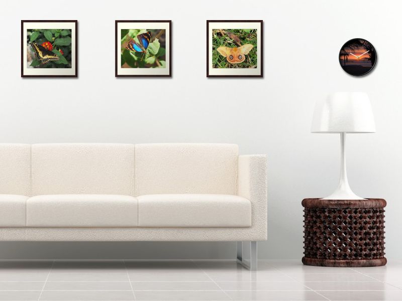 Framed butterfly photos and wall clock
