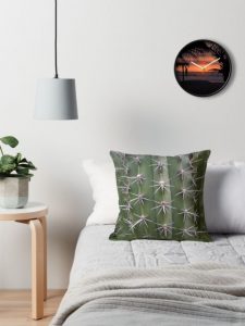 Our Throw Pillows & Wall Clock
