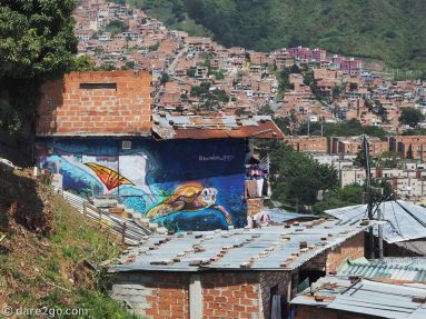 Comuna-13-sea-turtle