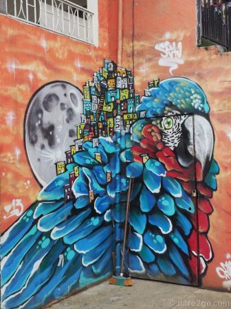 Comuna-13-streetart-comuna-parrot