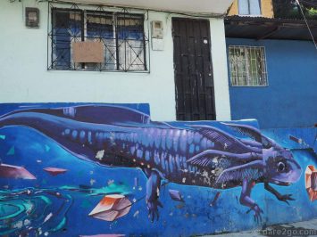 Comuna-13-streetart-lizard