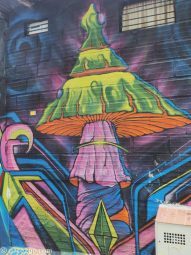 Comuna-13-streetart-mushroom