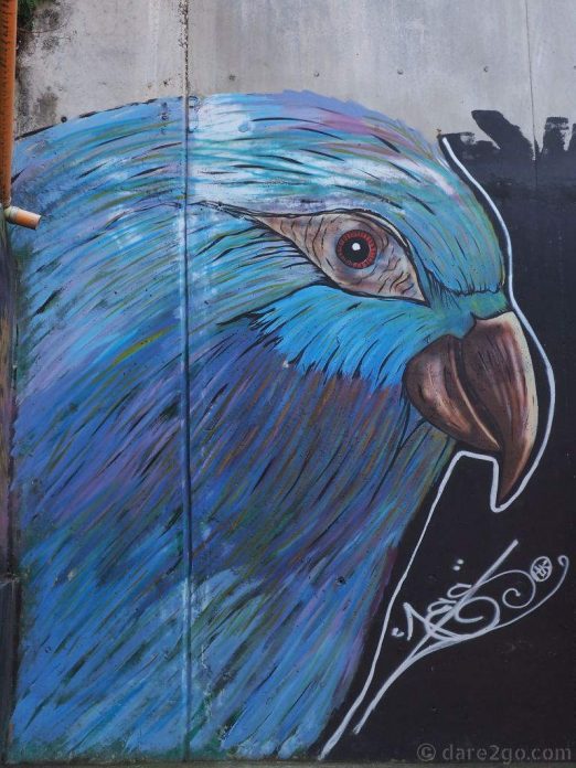 Comuna-13-streetart-parrot-head