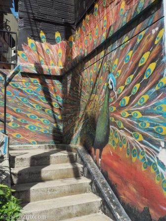 Comuna-13-streetart-peacock