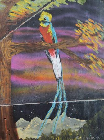 Comuna-13-streetart-quetzal