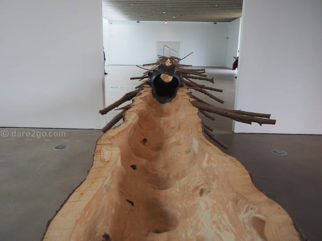 The other end of "Matrice" by Guiseppe Penone. The hollowed out stem stretches across 2 spacious rooms of the Underground Gallery. Here you see the bronze he had cast inside a section of the hollowed tree.
