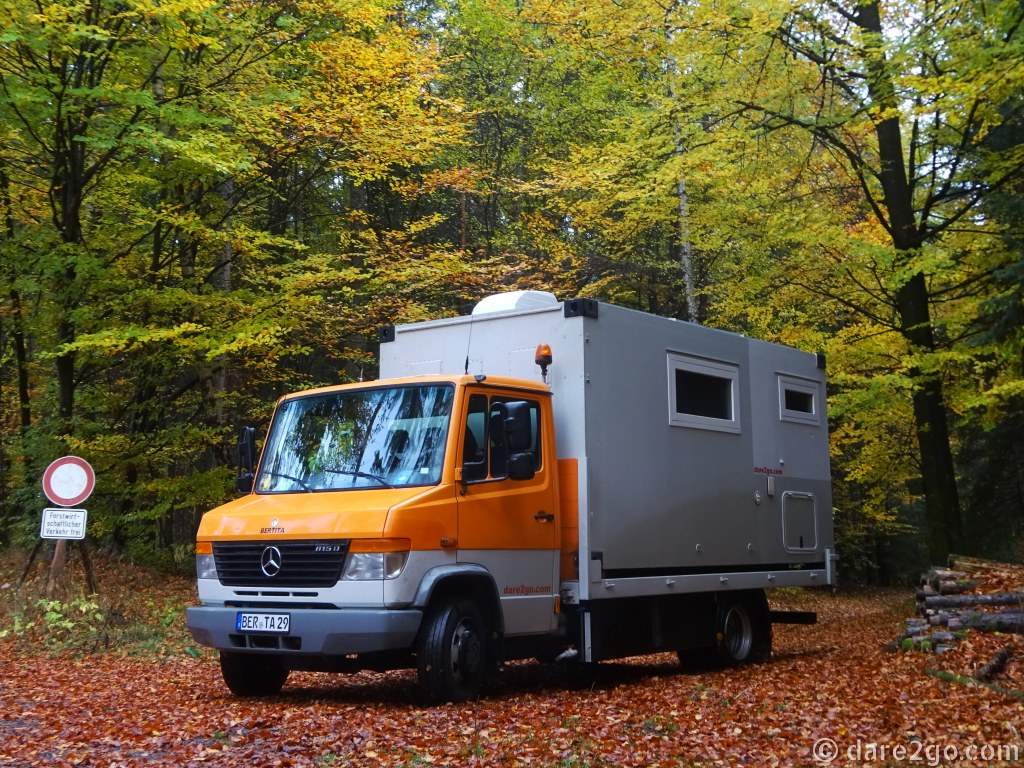 Our Bertita in an autumn forest in Germany. She's quite a bit smaller than Berta.