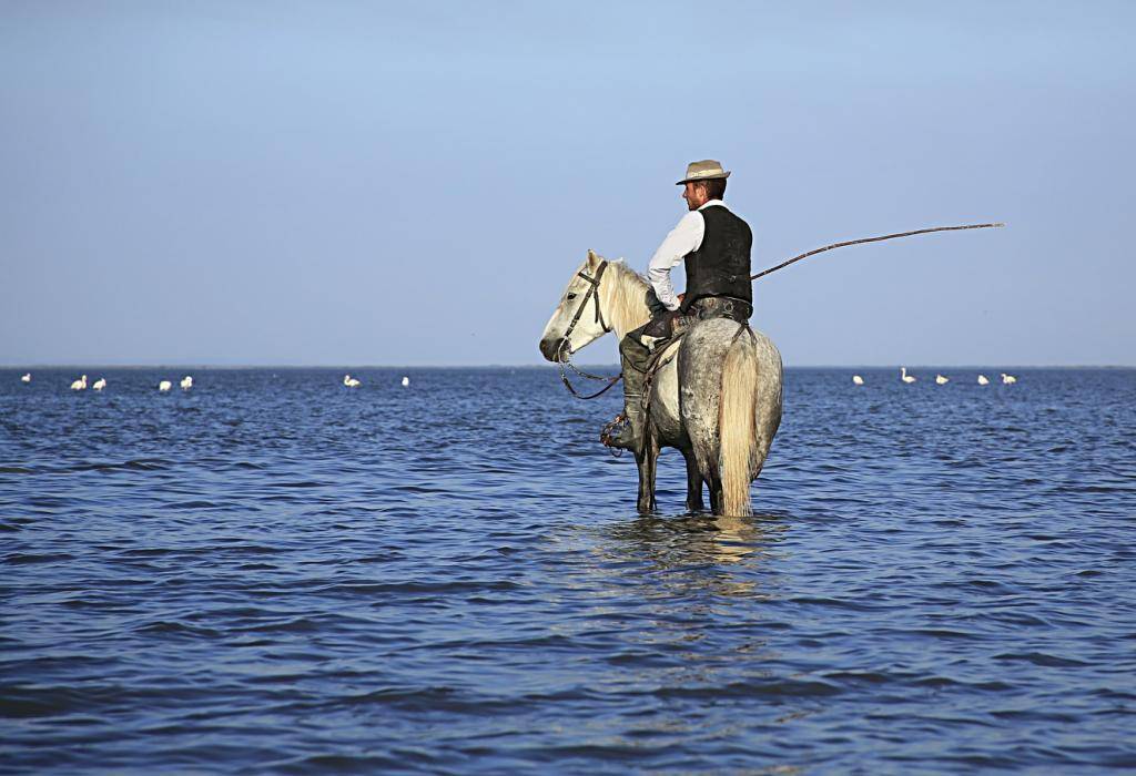 The cowboys of the Camargue: a Gardien on a Carmargue Horse in the waters, with flamingos as a backdrop. This is the essence of La Camargue. Unfortunately, we didn't take the photo.