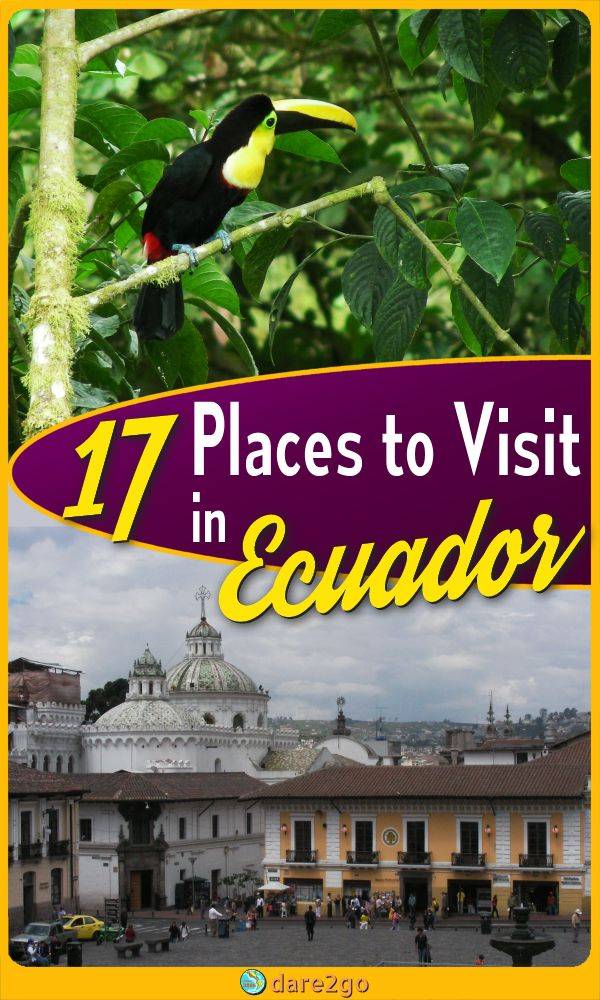 Our PINTEREST image, which shows a tucan bird in the Mindo jungle on top, the historic centre of Quito at the bottom - with text overlay.