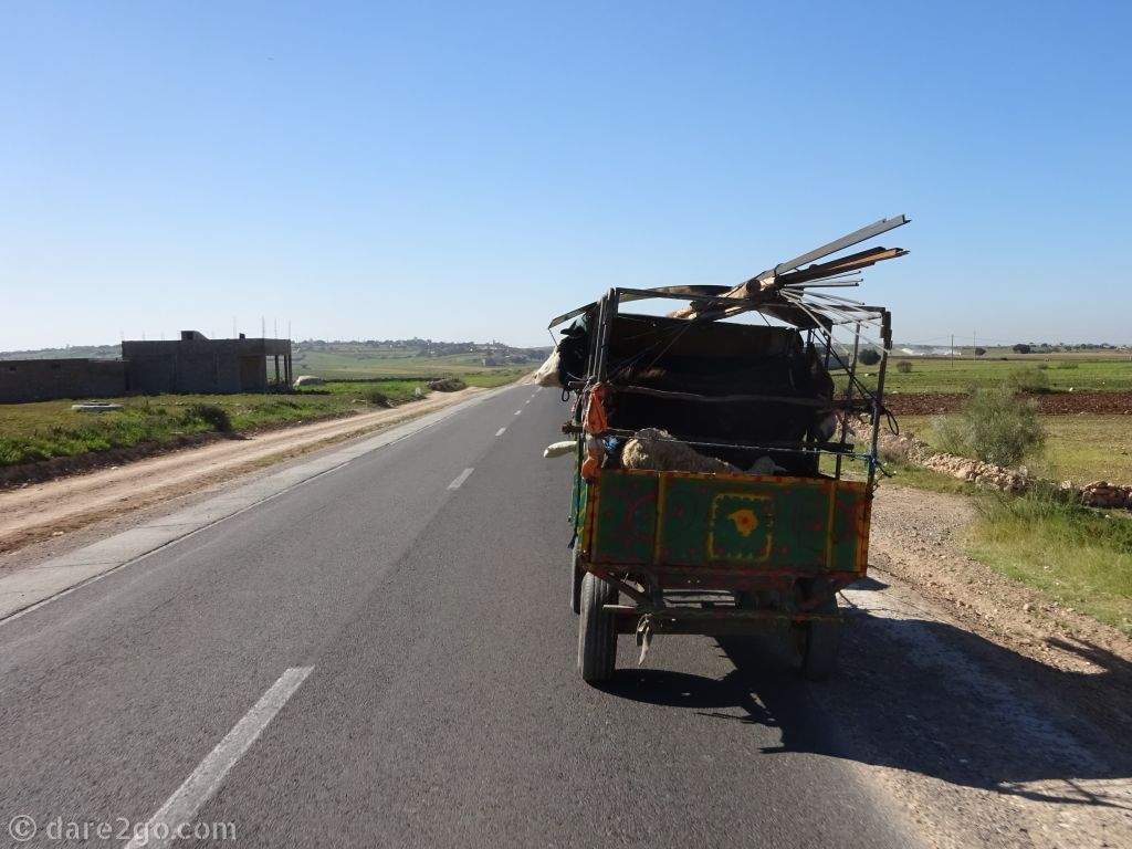A large horse drawn cart, loaded with a cow, a donkey, some sheep, and steel bars tied to the roof, returns home from a market.