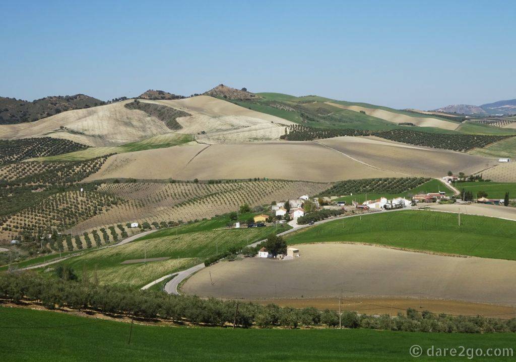 A typical 'farmscape' as you leave Setenil de las Bodegas towards Grazalema.