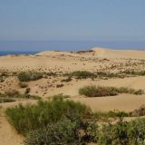 Sand dunes along the Atlantic Coast of Morocco, with the ocean in the background.