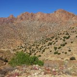 The Ameln Valley views are a wonderful experience of beautiful nature. Coloured mountains with green trees dotted about.