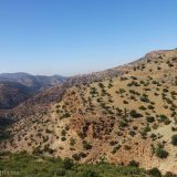 Mountains and valleys of arid landscape, interspersed with argan trees dotting the landscape.
