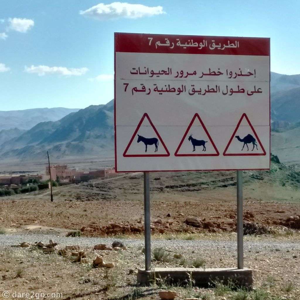 A road sign in Arabic with pictures of a donkey, goat and camel. Beware of animals on the road.