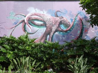 street-art-Medellin-squid