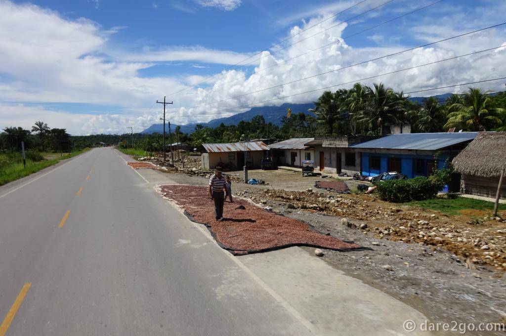 We were surprised by the level of development in the "La Selva" region. Here farmers dry coffee beans on the road edge; sometimes they take up a full lane with such things.