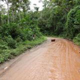 Part of PE 5N in "La Selva" was muddy, bumpy dirt. If you don't drive slowly a rock this size after a curve can get you into real trouble.