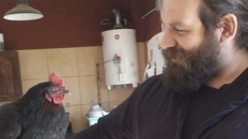 Domestic life instead of travel (chicken and a man's head)