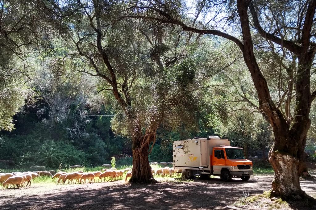 One of our most picturesque overnight places in the north of Greece - parked under really old olive trees.