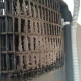 Germany: since we didn't know how thorough the Australian quarantine inspection would be, we also removed the fridge from the cupboard. This is what the compressor looked like... Disgusting - after almost 9 years!